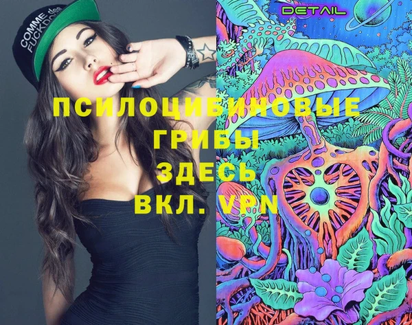не бодяженный Пересвет