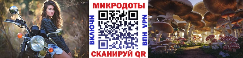 Псилоцибиновые грибы MAGIC MUSHROOMS  где купить наркотик  Дятьково 